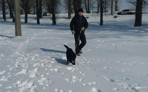 Выгул питомцев харьковского Приюта для бездомных животных 4 марта