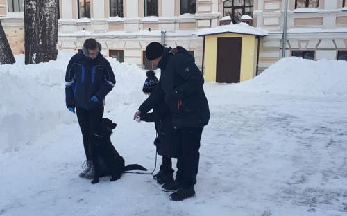 Петр Полященко провел занятия с собаками терапевтами в комплексе им. Короленко