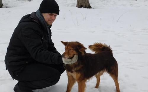В Центре обращения с животными воскресный выгул состоится при любой погоде.  