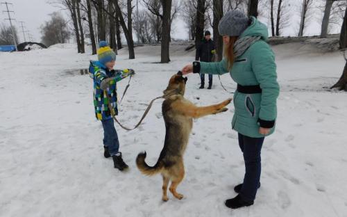 В Центре обращения с животными воскресный выгул состоится при любой погоде.  