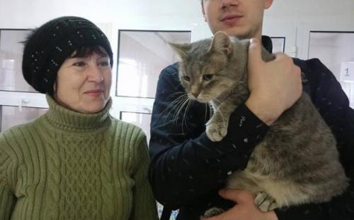 С начала года 85 собак и 94 кошки покинули муниципальный приют и стали домашними