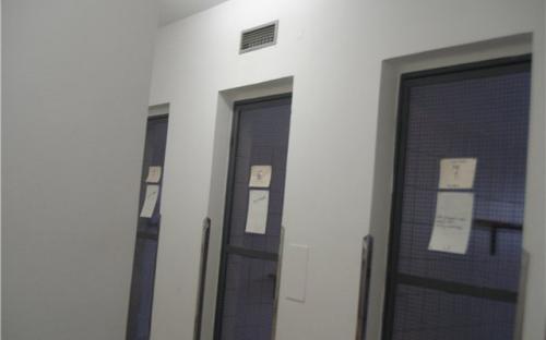 через двор попадаем в центр помещения для кошек