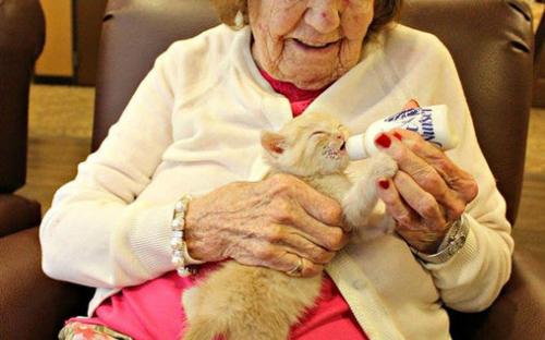 В США объединили дом престарелых и приют для животных