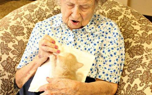 В США объединили дом престарелых и приют для животных