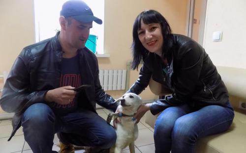 Пристроенные животные Центра содержания животных