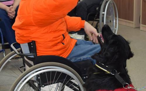  Субботнее утро в центре "Семья" открывают Уроки доброты от Центра обращения с животными