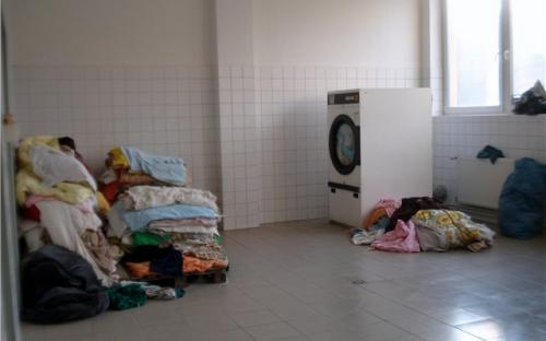 Помещение для стирки собачьих покрывал