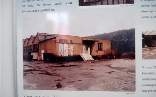 Как раньше выглядела территория приюта