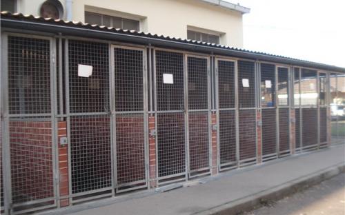 Вольеры для собак