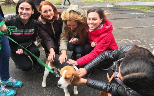 КП "Центр обращения с животными" о результатах проведения Всемирного Дня защиты животных в Харькове