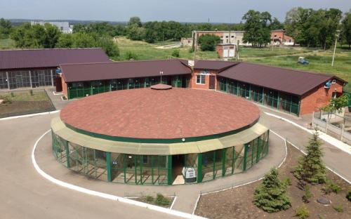 Харьковский приют для бездомных животных