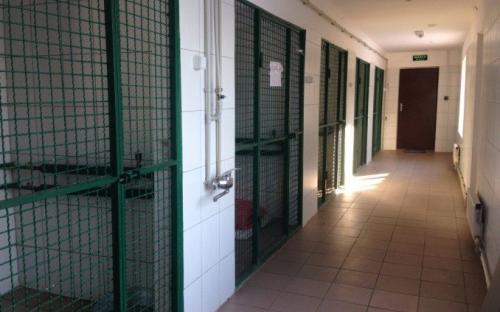 Харьковский приют для бездомных животных