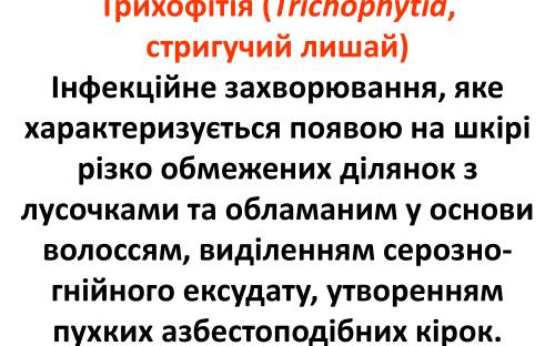 Распространение и видовой состав возбудителей дерматомикозов мелких домашних животных в. Харькове