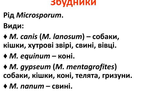 Распространение и видовой состав возбудителей дерматомикозов мелких домашних животных в. Харькове