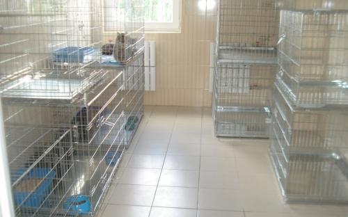 Круглосуточная ветеринарная клиника на Гагарина в Харькове