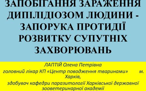 Предотвращение заражения дипилидиозом человека