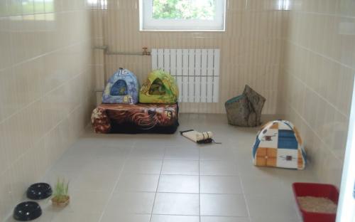 Круглосуточная ветеринарная клиника на Гагарина в Харькове