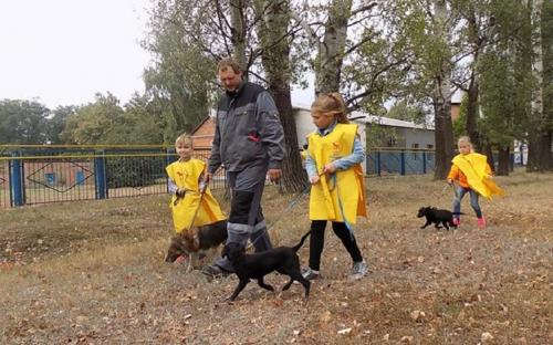 Каждое воскресенье Приют для содержания бездомных животных ждет всех желающих!