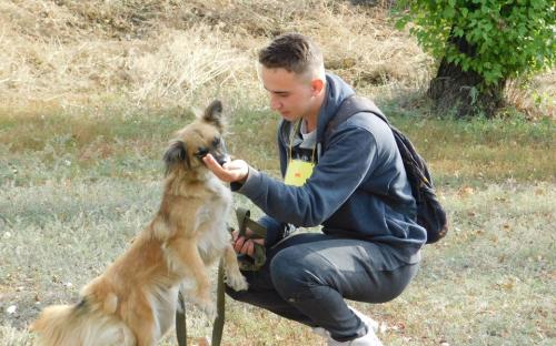 Каждое воскресенье Приют для содержания бездомных животных ждет всех желающих!