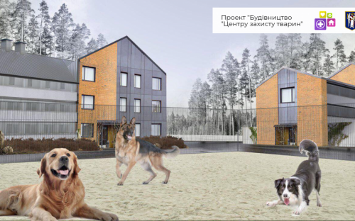 Строительство Центра защиты животных