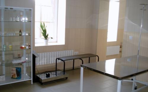 Круглосуточная ветеринарная клиника на Гагарина в Харькове