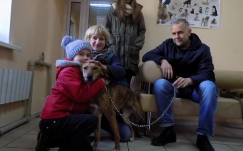 КП «Центр обращения с животными» за два месяца в добрые руки было пристроено 139 животных.