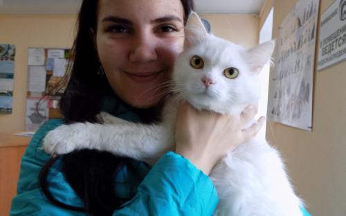 КП «Центр обращения с животными» за два месяца в добрые руки было пристроено 139 животных.