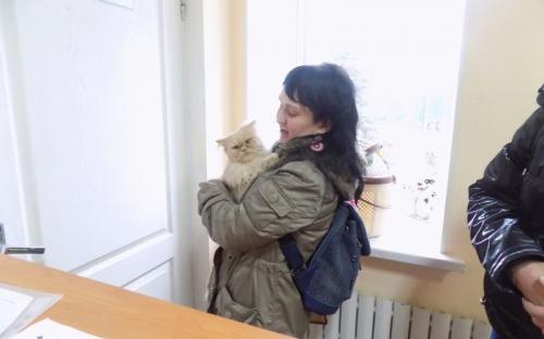 Предварительные итоги акции "Доброта объединяет сердца" Центра содержания животных
