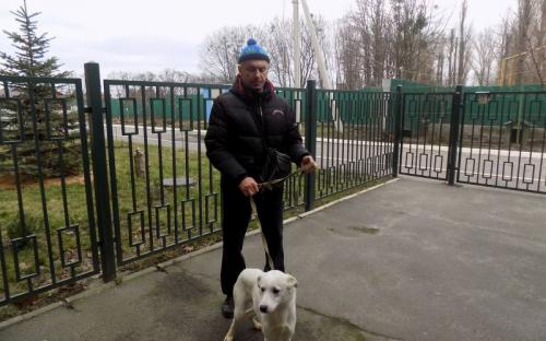 Предварительные итоги акции "Доброта объединяет сердца" Центра содержания животных