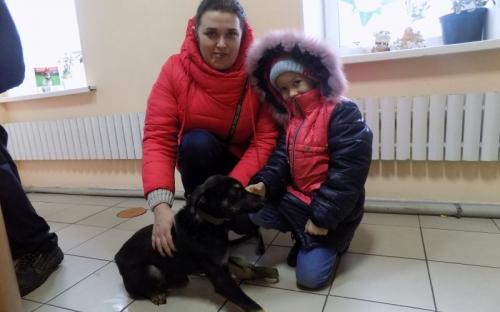 Предварительные итоги акции "Доброта объединяет сердца" Центра содержания животных