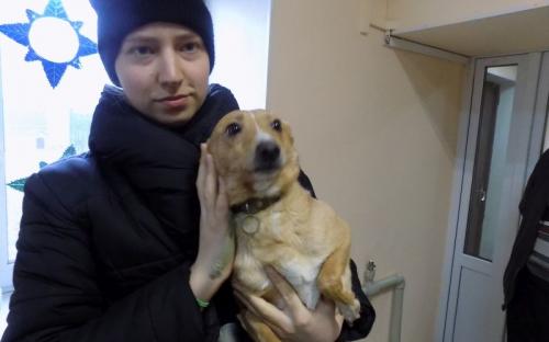 Предварительные итоги акции "Доброта объединяет сердца" Центра содержания животных