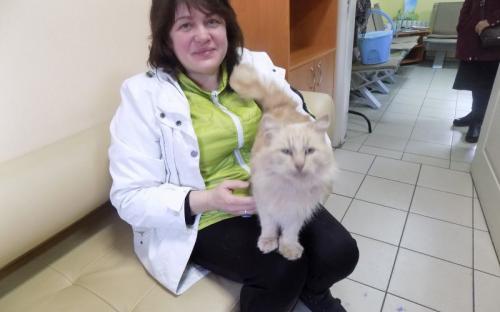 Предварительные итоги акции "Доброта объединяет сердца" Центра содержания животных