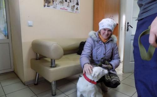 Предварительные итоги акции "Доброта объединяет сердца" Центра содержания животных