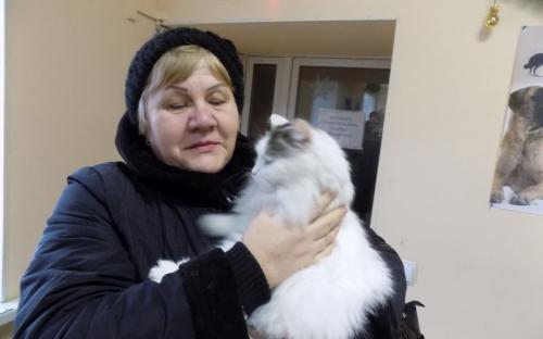 Предварительные итоги акции "Доброта объединяет сердца" Центра содержания животных