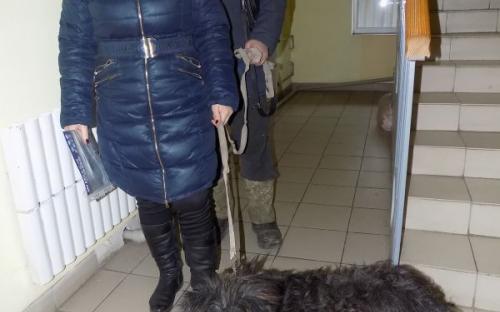 Предварительные итоги акции "Доброта объединяет сердца" Центра содержания животных