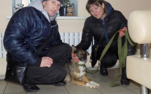 Предварительные итоги акции "Доброта объединяет сердца" Центра содержания животных