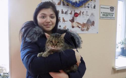 Предварительные итоги акции "Доброта объединяет сердца" Центра содержания животных