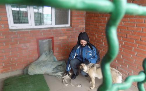 Репортаж. Утро в Приюте Центра обращения с животными