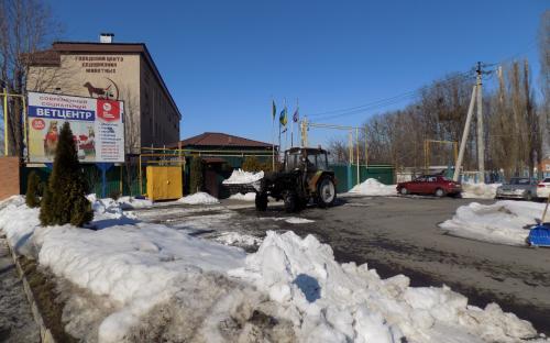 В Центре обращения с животными убирают снег и ждут весну. 