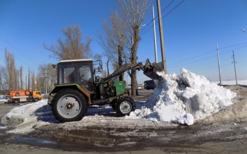 В Центре обращения с животными убирают снег и ждут весну. 