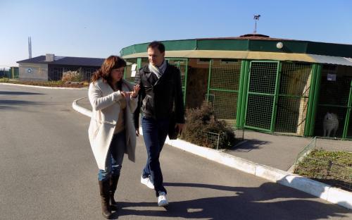 Как КП "Центр обращения с животными" принимало гостя из Казахстана 