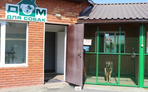 Четырёхлапым нужен дом