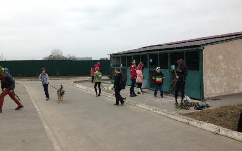 Масленичные гулянья в приюте для животных в Харькове