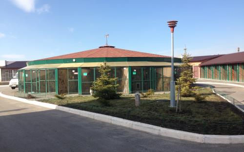 Харьковский приют для бездомных животных