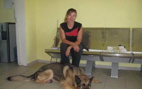 ветклинику посетили около 280 человек