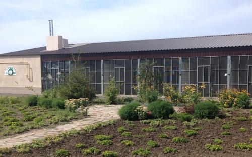 Харьковский приют для бездомных животных