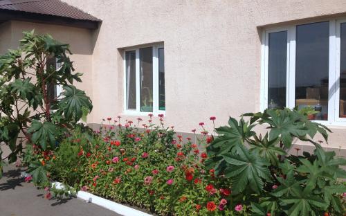 Харьковский приют для бездомных животных