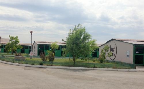 Харьковский приют для бездомных животных