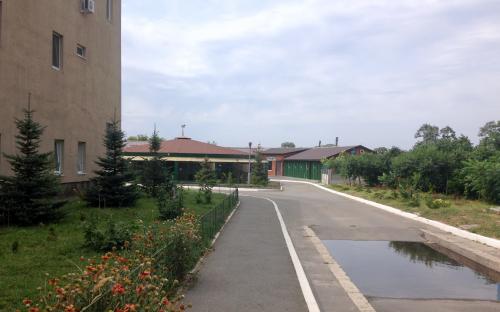 Харьковский приют для бездомных животных