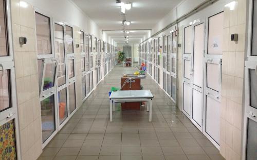 Харьковский приют для бездомных животных